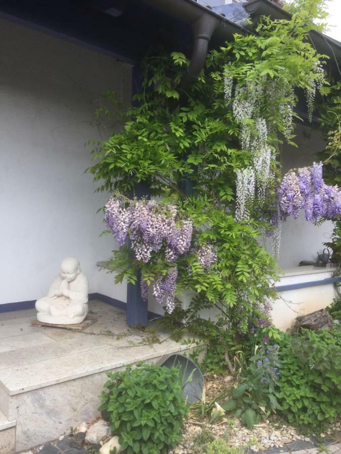 Gaensebluemchen 1 Apartment Daisy 1 Walsdorf  Exterior foto